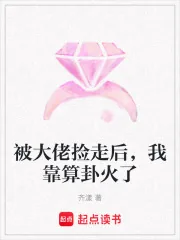《被大佬捡走后，我靠算卦火了》小说封面