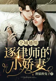 《全城通缉：逐律师的小娇妻》小说封面