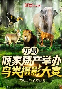 《开局：倾家荡产举办鸟类摄影大赛》小说封面