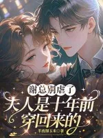 《谢总别虐了，夫人是十年前穿回来的》小说封面
