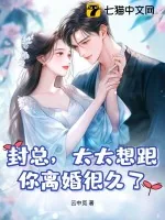《封总，太太想跟你离婚很久了》小说封面
