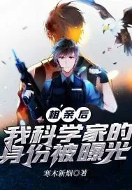 《相亲后，我科学家的身份被曝光》小说封面