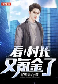 《看！村长又氪金了》小说封面
