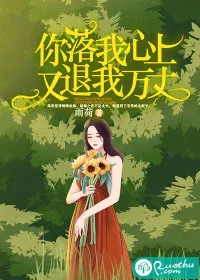 《你落我心上,又退我万丈》小说封面