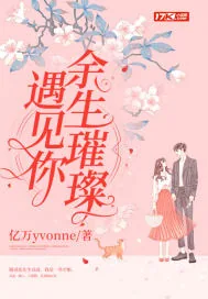 《遇见你:余生璀璨》小说封面