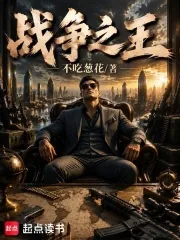 《战争之王》小说封面