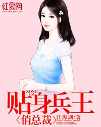 《贴身兵王俏总裁》小说封面