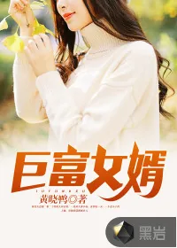 《巨富女婿》小说封面