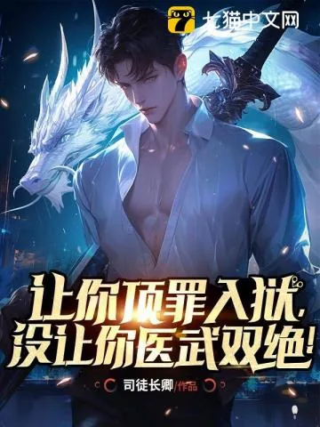 《让你顶罪入狱，没让你医武双绝！》小说封面