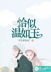 《恰似温如玉》小说封面