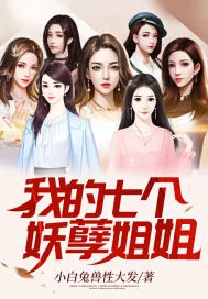 《我的七个妖孽姐姐》小说封面