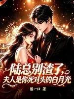 《陆总别渣了，夫人是你死对头的白月光》小说封面