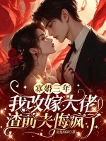 《寡婚三年我改嫁大佬,渣前夫悔疯了》小说封面