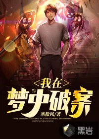 《我在梦中破案》小说封面