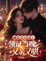 《赫先生冷淡？领证当晚又亲又哄》小说封面