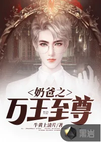 《奶爸之万王至尊》小说封面
