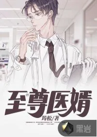 《至尊医婿》小说封面