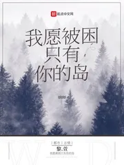 《我愿被困只有你的岛》小说封面