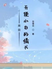 《来自天使小白的情书》小说封面