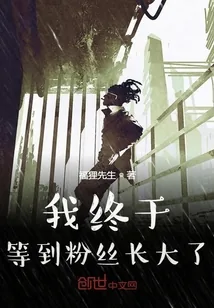 《我终于等到粉丝长大了》小说封面