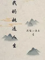 《都市之美妙人生》小说封面