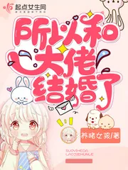 《所以和大佬结婚了》小说封面