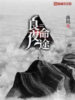 《良夜命途》小说封面