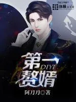 《第一赘婿》小说封面