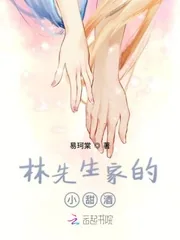 《林先生家的小甜酒》小说封面