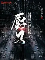 《我只想安静的当个厨子》小说封面
