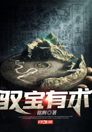 《驭宝有术》小说封面