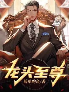 《龙头至尊》小说封面