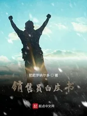 《销售员白皮书》小说封面