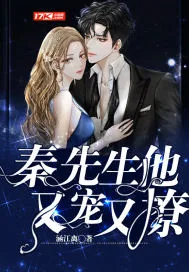 《秦先生他又宠又撩》小说封面