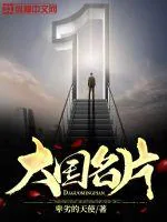 《大国名片》小说封面