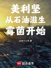 《美利坚从石油滋生霉菌开始》小说封面