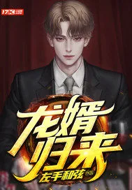 《龙婿归来》小说封面