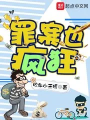《破案也疯狂》小说封面