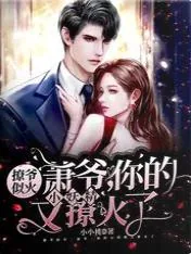 《萧爷，你的小妖精又撩火了》小说封面