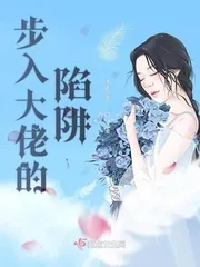 《步入大佬的陷阱》小说封面