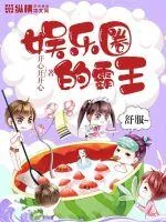 《娱乐圈的霸王》小说封面