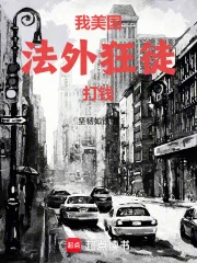 《我，美国法外狂徒，打钱》小说封面