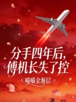 《分手四年后，傅机长失了控》小说封面