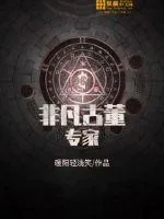 《非凡古董专家》小说封面