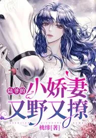 《陆爷的小娇妻又野又撩》小说封面