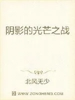 《阴影的光芒之战》小说封面