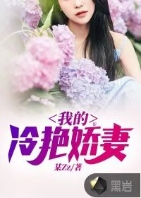 《我的冷艳娇妻》小说封面