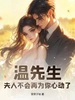 《温先生,夫人不会再为你心动了》小说封面
