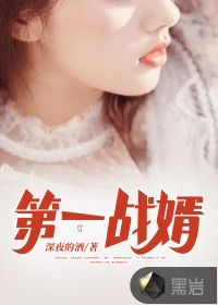 《第一战婿》小说封面