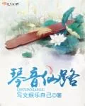 《琴音仙路》小说封面